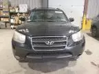 2007 Hyundai Santa FE SE