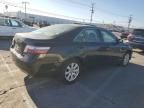 2007 Toyota Camry Hybrid