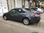 2010 Toyota Camry SE