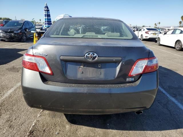 2009 Toyota Camry Hybrid