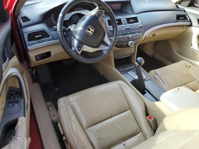 2008 Honda Accord EXL