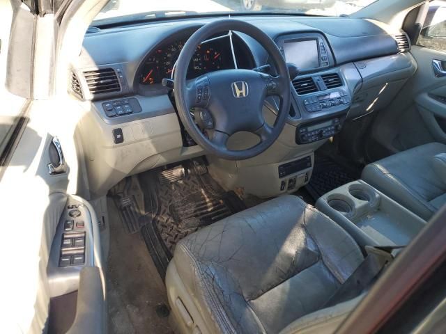 2005 Honda Odyssey EXL