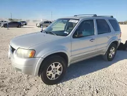 Ford salvage cars for sale: 2004 Ford Escape Limited