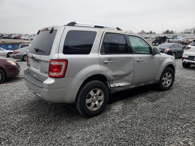 2010 Ford Escape Limited