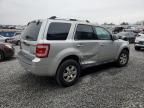 2010 Ford Escape Limited