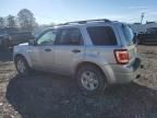 2009 Ford Escape Hybrid