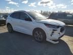 2023 Ford Escape ST Line