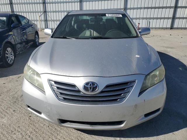 2009 Toyota Camry Hybrid