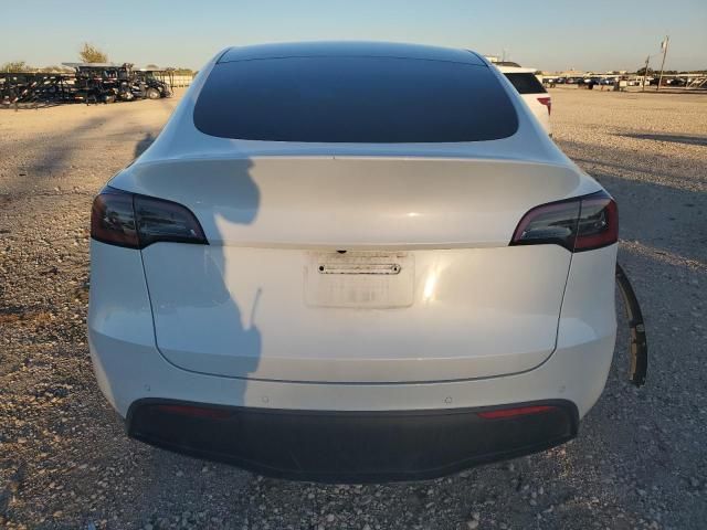 2020 Tesla Model Y