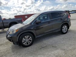 Salvage cars for sale at Arcadia, FL auction: 2013 Honda CR-V EXL