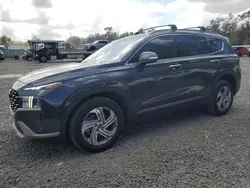 Salvage cars for sale at Riverview, FL auction: 2023 Hyundai Santa FE SEL