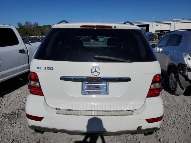 2010 Mercedes-Benz ML 350