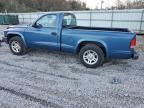 2003 Dodge Dakota SXT