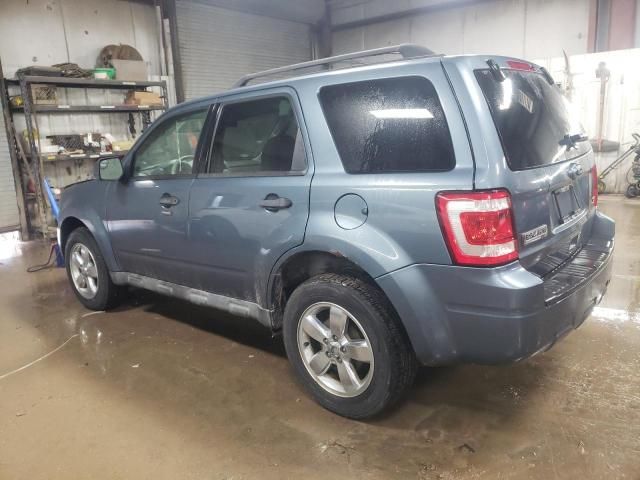 2011 Ford Escape XLT