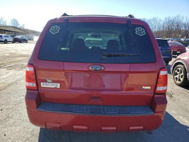 2011 Ford Escape XLT