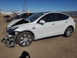 Salvage cars for sale at Adelanto, CA auction: 2023 Tesla Model Y