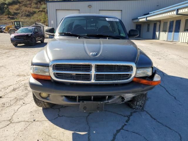 2004 Dodge Dakota Quad Sport