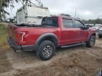 2017 Ford F150 Raptor