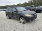 2009 Hyundai Santa FE SE