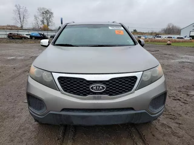 2011 KIA Sorento Base