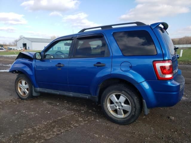 2012 Ford Escape XLT