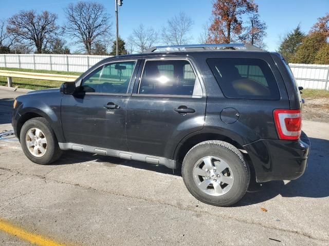 2011 Ford Escape Limited