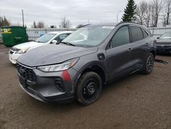 Ford salvage cars for sale: 2023 Ford Escape