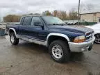 2002 Dodge Dakota Quad SLT