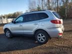 2007 Hyundai Santa FE GL