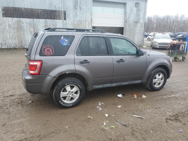 2011 Ford Escape XLT