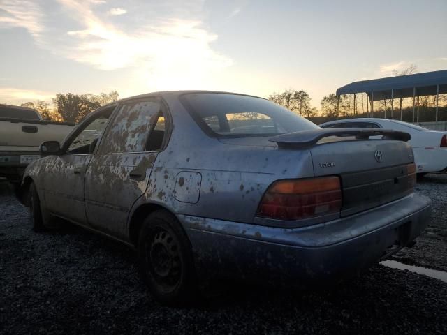 1995 Toyota Corolla LE