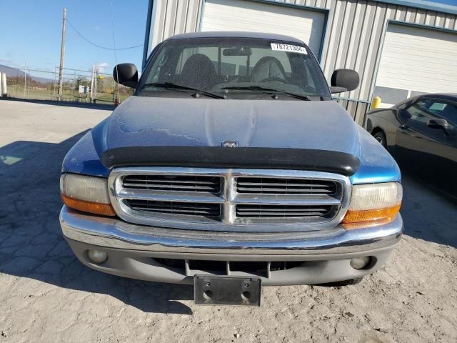 1999 Dodge Dakota