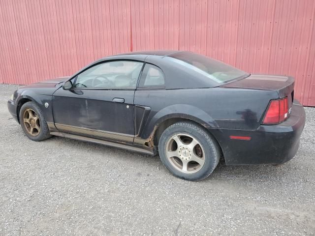 2004 Ford Mustang