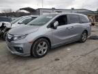 2019 Honda Odyssey EXL