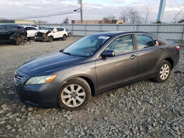 2009 Toyota Camry Hybrid