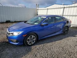 Honda Civic lx Vehiculos salvage en venta: 2016 Honda Civic LX