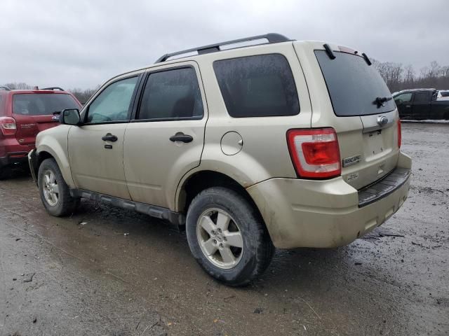 2011 Ford Escape XLT