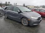 2022 Honda Odyssey EXL