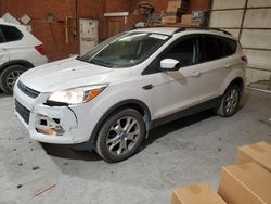 Lotes con ofertas a la venta en subasta: 2013 Ford Escape SE