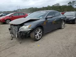 Nissan salvage cars for sale: 2011 Nissan Maxima S