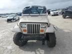 1995 Jeep Wrangler / YJ S