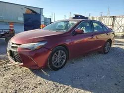 2015 Toyota Camry Hybrid en venta en Haslet, TX