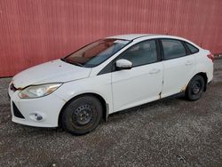 Salvage Cars with No Bids Yet For Sale at auction: 2012 Ford Focus SE