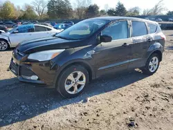 2013 Ford Escape SE en venta en Madisonville, TN