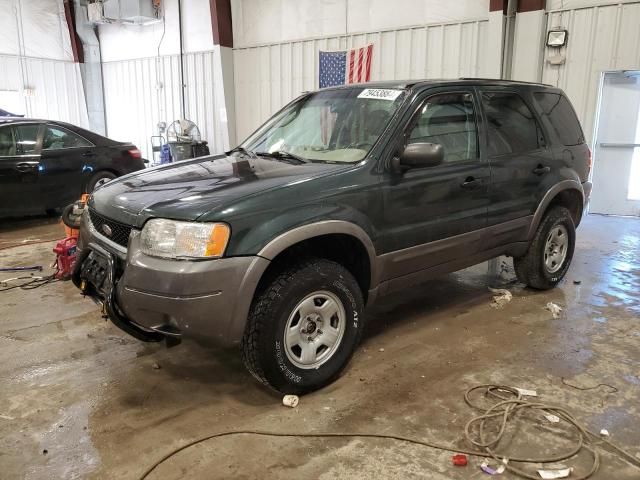 2003 Ford Escape XLT