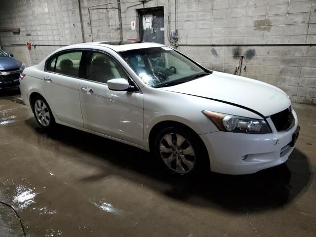 2010 Honda Accord EXL