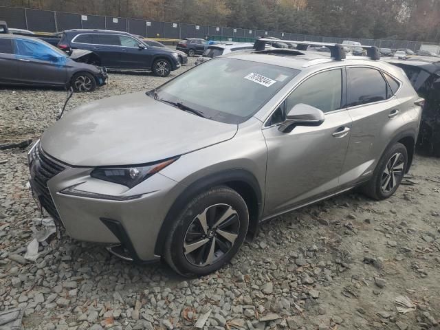 2021 Lexus NX 300H Base