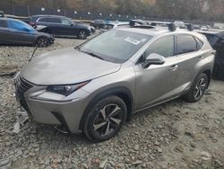 Salvage cars for sale at Waldorf, MD auction: 2021 Lexus NX 300H Base