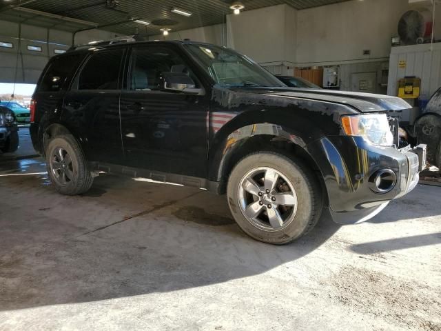 2011 Ford Escape Limited