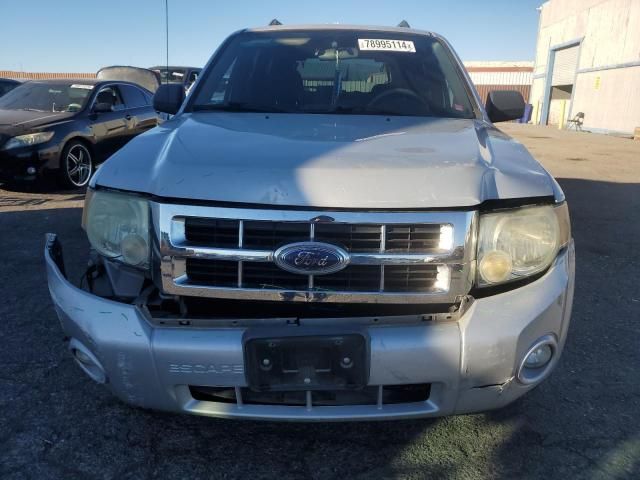 2008 Ford Escape XLT